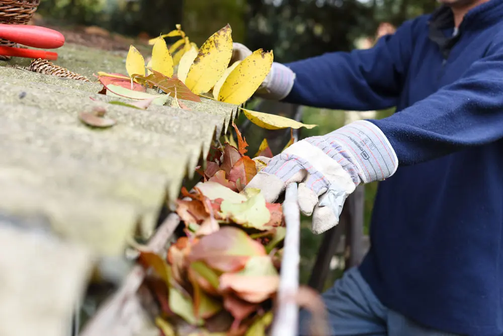 The Butler ensures the leaves are removed from your holiday homes gutters